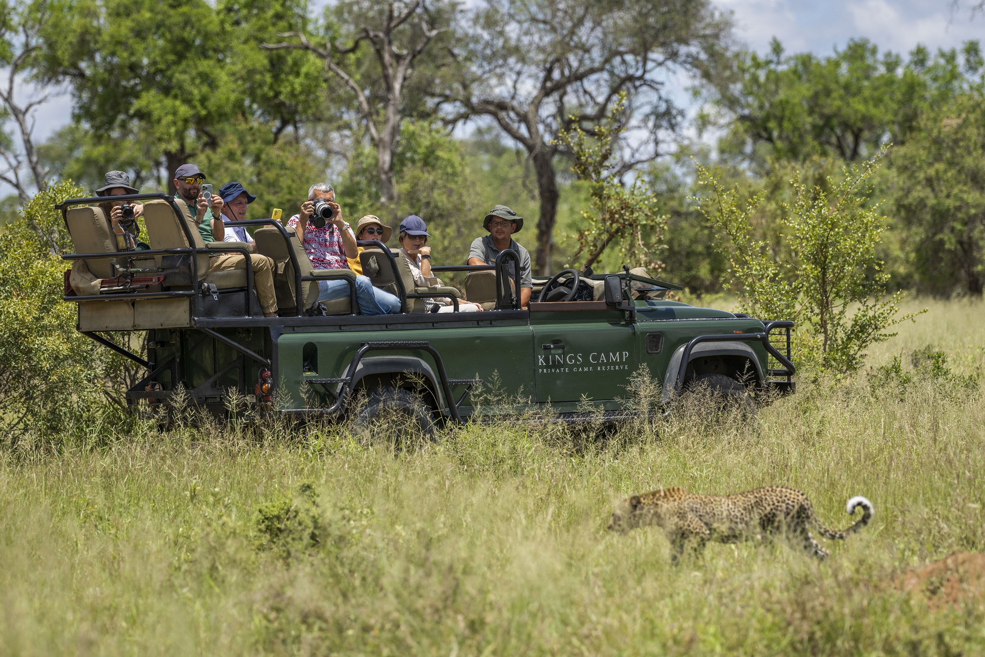 Morning vs Afternoon Game Drives